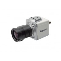 SHARK Series Hyper Wide Light Dynamic Compact Cube Color Camera