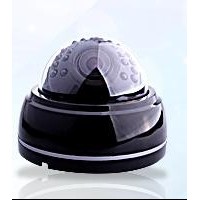 High Res. (650 TVL) Day/Night IR WDR Indoor Dome Camera
